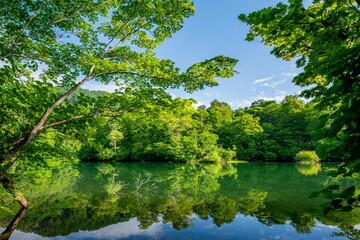 新緑の鎌池（小谷村）