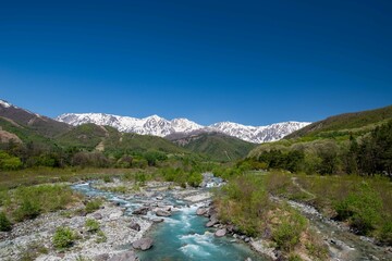 白馬三山と清流松川（新緑期）