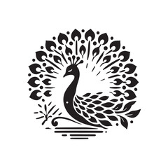 Obraz premium Silhouette Black And White image of Peacock
