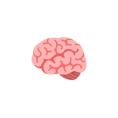 Brain  
