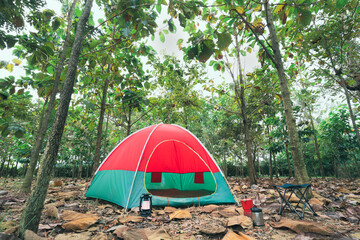 Red camping tent in a big forest, the ground is covered with brown fallen leaves and dry teak leaves in the autumn forest
