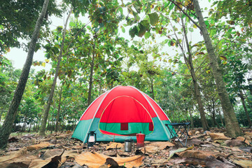 Red camping tent in a big forest, the ground is covered with brown fallen leaves and dry teak leaves in the autumn forest