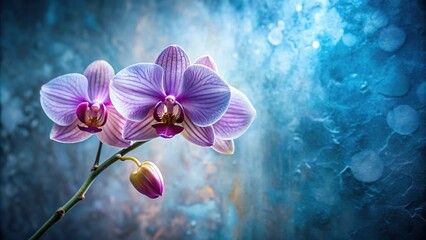 Low-angle, ethereal orchid, rough textured background, muted blues and purples, soft light, shallow depth of field, dreamlike, focusing on intricate details.
