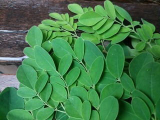 Moringa leaves vegetables and herbs for health