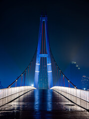 bridge at night