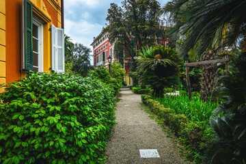 Ornamental garden with various green plants and palm trees, Italy