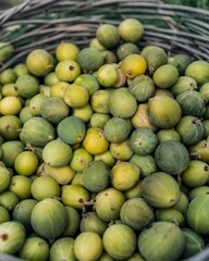 mangoes at the market