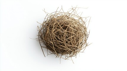 Natural Nest Crafted from Twigs and Branches, Perfect for Bird Habitat, Wildlife Photography, and Eco-Friendly Decor Elements in Minimalist Design