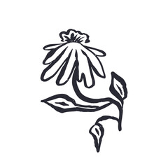 Black and white minimal abstract inky line art flower. Monochrome sketchy textured loose floral doodles. Hand drawn botanical abstraction