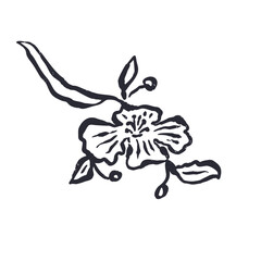 Black and white minimal abstract inky line art flower. Monochrome sketchy textured loose floral doodles. Hand drawn botanical abstraction