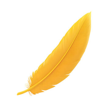 Fototapeta Yellow feather on transparent background, cutout