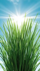 Vibrant Green Grass Blades  Sunny Sky  Nature Background