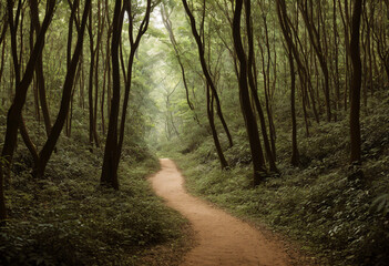Obraz premium Ornate Product Display on Plain Background with Enchanting Forest Pathway Concept