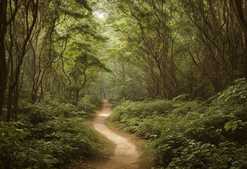 Fototapeta premium Ornate Product Display on Plain Background with Enchanting Forest Pathway Concept