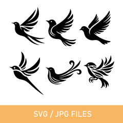 Fototapeta premium bird vector design