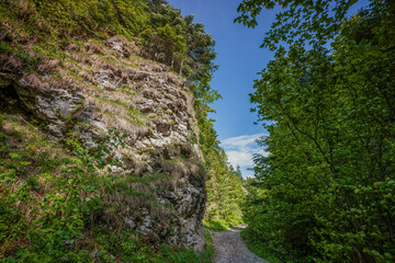 Pieniny. Wąwóz Szopczański. © Janusz Lipiński