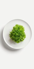 Fresh romaine lettuce leaves on a white plate