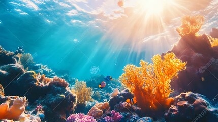 Naklejka premium Vibrant Underwater Coral Reef Sunlight. Concept of marine life, ocean beauty, and underwater world.