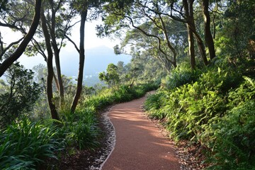 a winding path through a lush forest