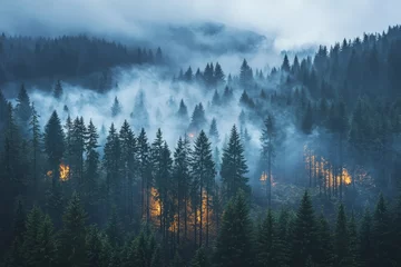Majestic Landscape of Forest Fire with Billowing Smoke and Flames Amidst Towering Pine Trees in a Mystic Mountain Environment