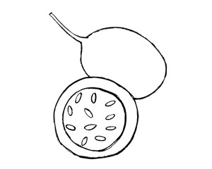 illustration of passion fruit, sketch of passion fruit, doodle of passion fruit