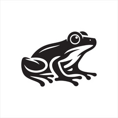 frog on white background