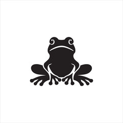 frog on white background