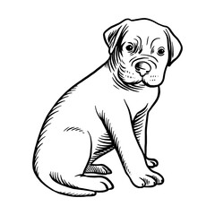 Puppy Perro de Presa Mallorquin - Dog Breed, Puppy Breed Vector File, detailed vector