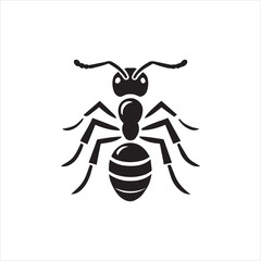 illustration of a spider