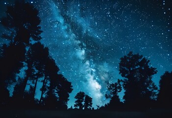 Fototapeta premium moon stars