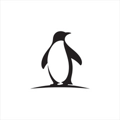 penguin on a white background