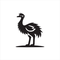 rooster isolated on white background