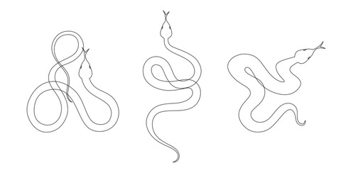Snake line vector art. Year of snake 2025 Chinese New Year