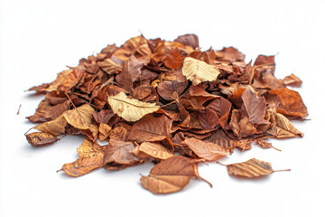 Pile of autumn colored leaves isolated on white background