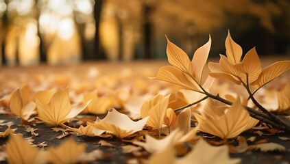 Golden Autumn Leaves On Park Ground