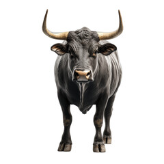 Naklejka premium A bull with horns stands in front of a white background