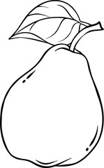 Pear Fruit  Outline  Illustration.