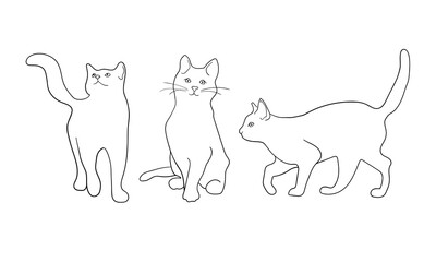 Cats set continuous line art drawing isolated on white background. Kittens outline. Vector illustration