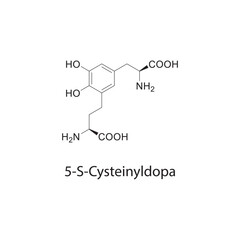 5-S-Cysteinyldopa skeletal structure diagram.organic compound molecule scientific illustration.