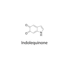 Indolequinone skeletal structure diagram.organic compound molecule scientific illustration.
