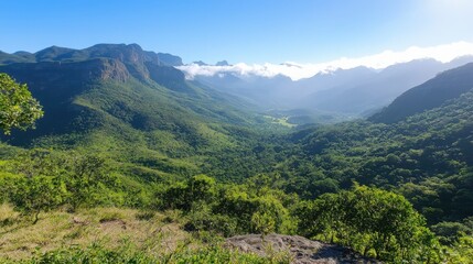 Exploring misty mountain peaks scenic valleys nature photography sunlit environment panoramic view breathtaking landscape