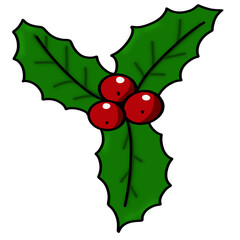 holly and berries