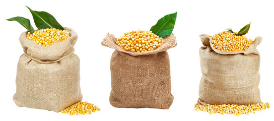 Set of Burlap sacks filled with yellow corn kernels isolated on transparent background 