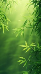 Obraz premium Bamboo forest tranquility nature background lush greenery close-up serenity and calmness