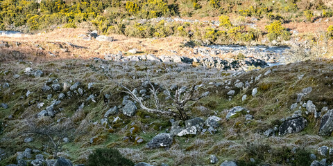 A rocky terrain features scattered stones and sparse vegetation, with a winding river flowing through the scenic landscape under bright daylight.