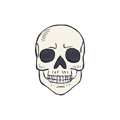 Hand drawn sketchy human skull isolated on white background. Doodle skeleton head tattoo design