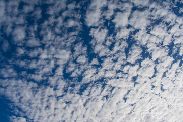 Cloudscape With Altocumulus Clouds white