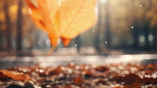 Golden Autumn: A single, vibrant orange leaf descends gracefully through the air, softly landing upon a bed of fallen leaves in a picturesque autumnal park. Warm, natural light bathes the scene.