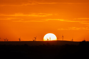 Fototapeta premium sunset behind the wind turbines in the Essaouira region in Morocco