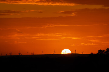 Fototapeta premium sunset behind the wind turbines in the Essaouira region in Morocco
